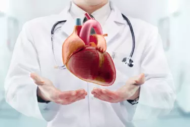 best hospital for echo test in narsinghpur, best doctor for echo test in narsinghpur, cost of echo test in narsinghpur